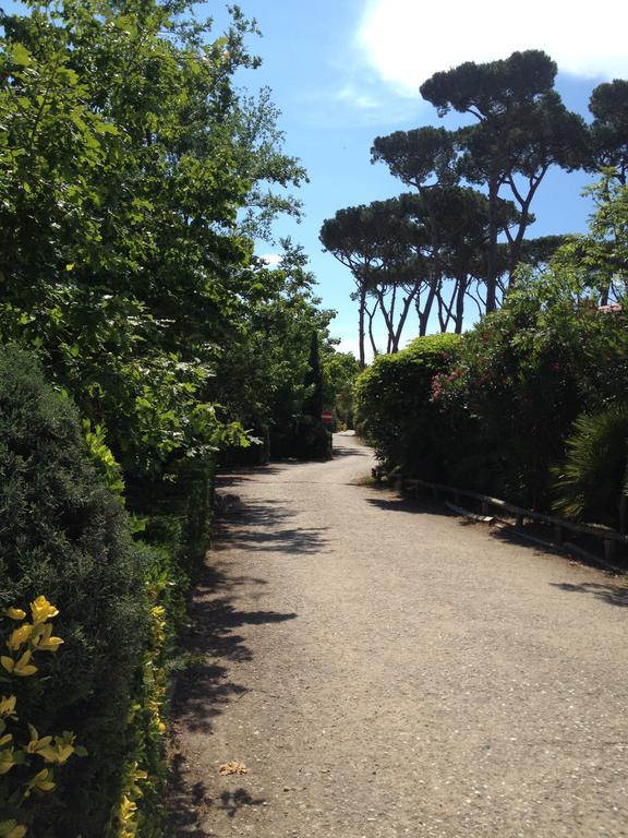 Camping Paradiso Viareggio Zewnętrze zdjęcie