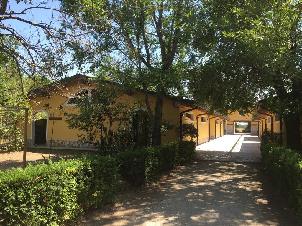 Camping Paradiso Viareggio Zewnętrze zdjęcie